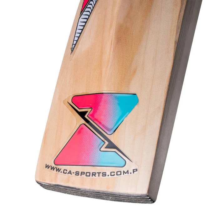 CA Gold 3000 English Willow Cricket Bat - Image 8