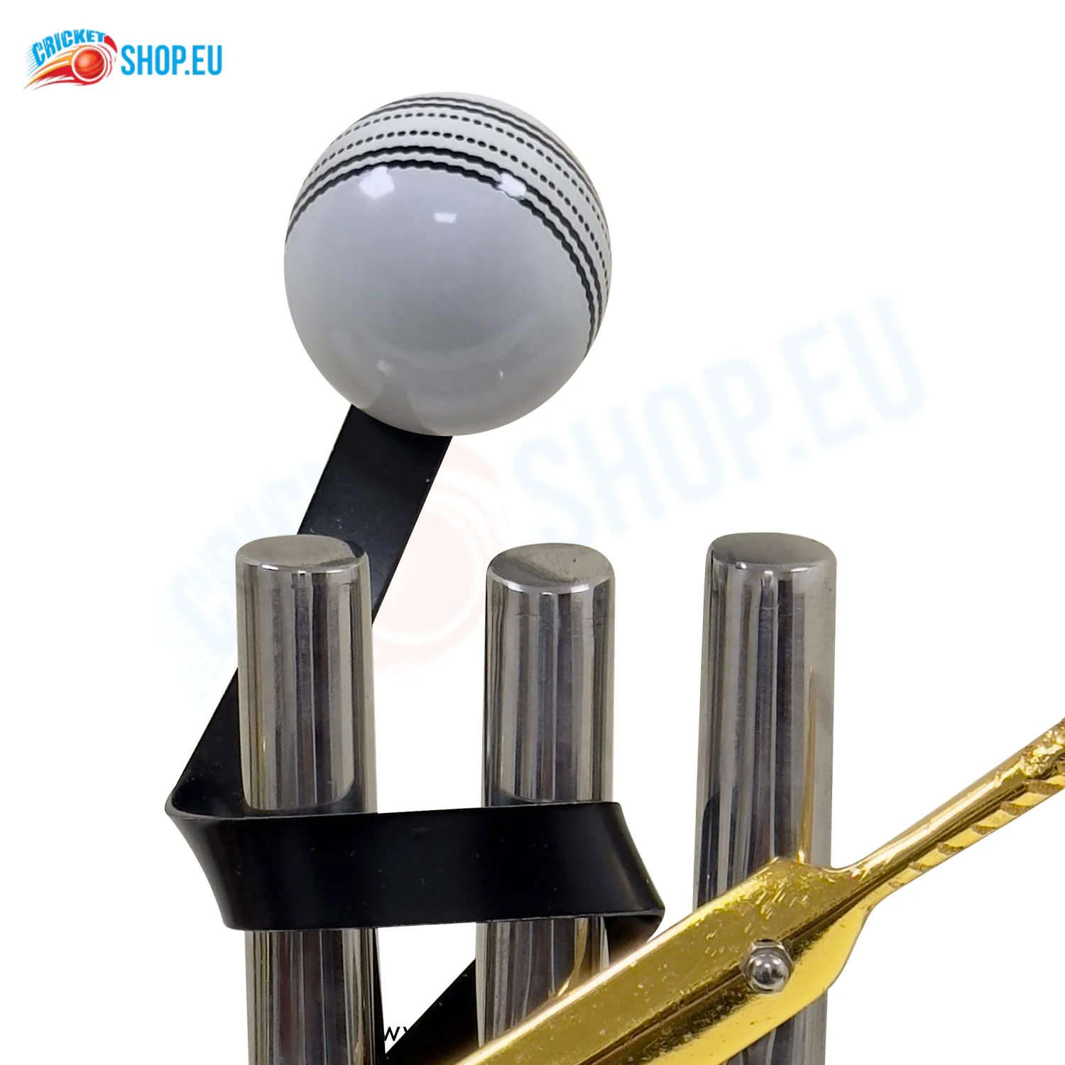 Cricket Bat Ball & Stump Trophy - Image 4