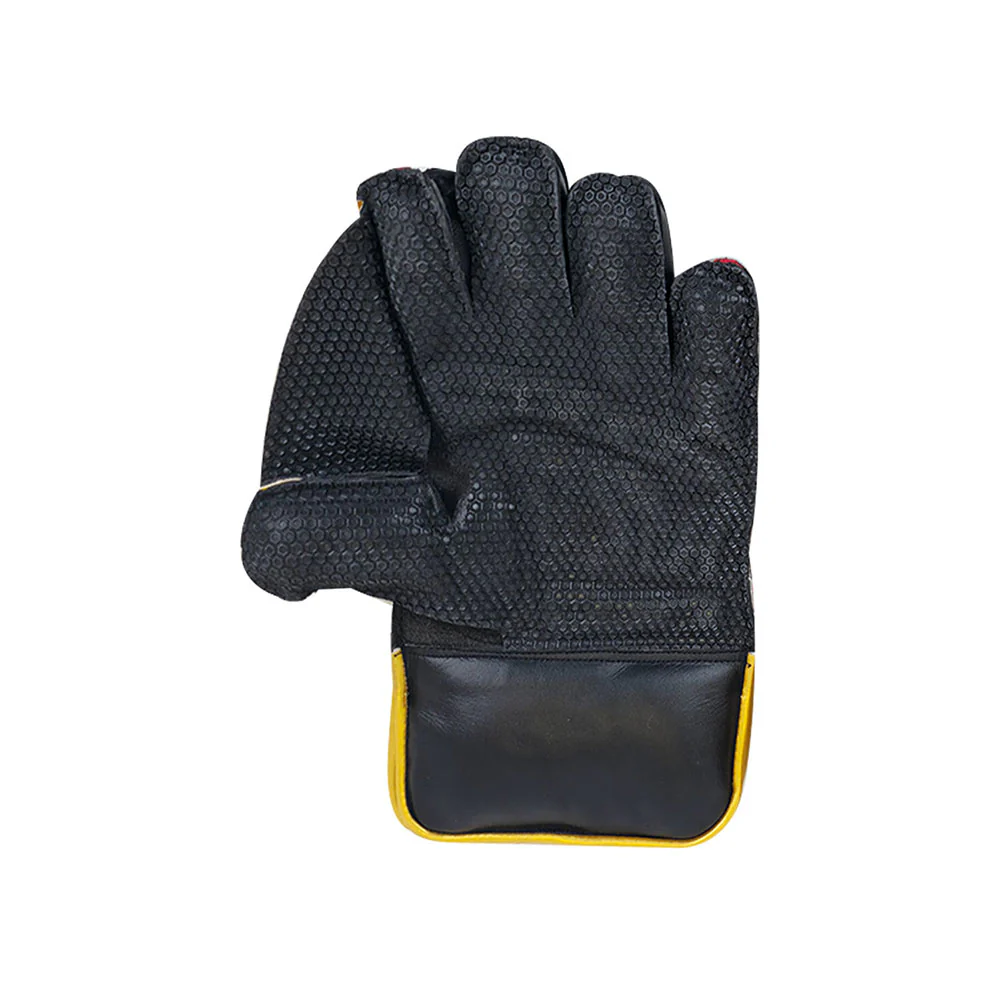 DS 1.0 Wicket Keeping Gloves - Image 4