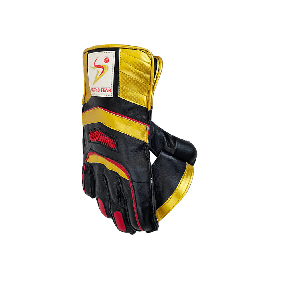 DS 1.0 Wicket Keeping Gloves - Image 6