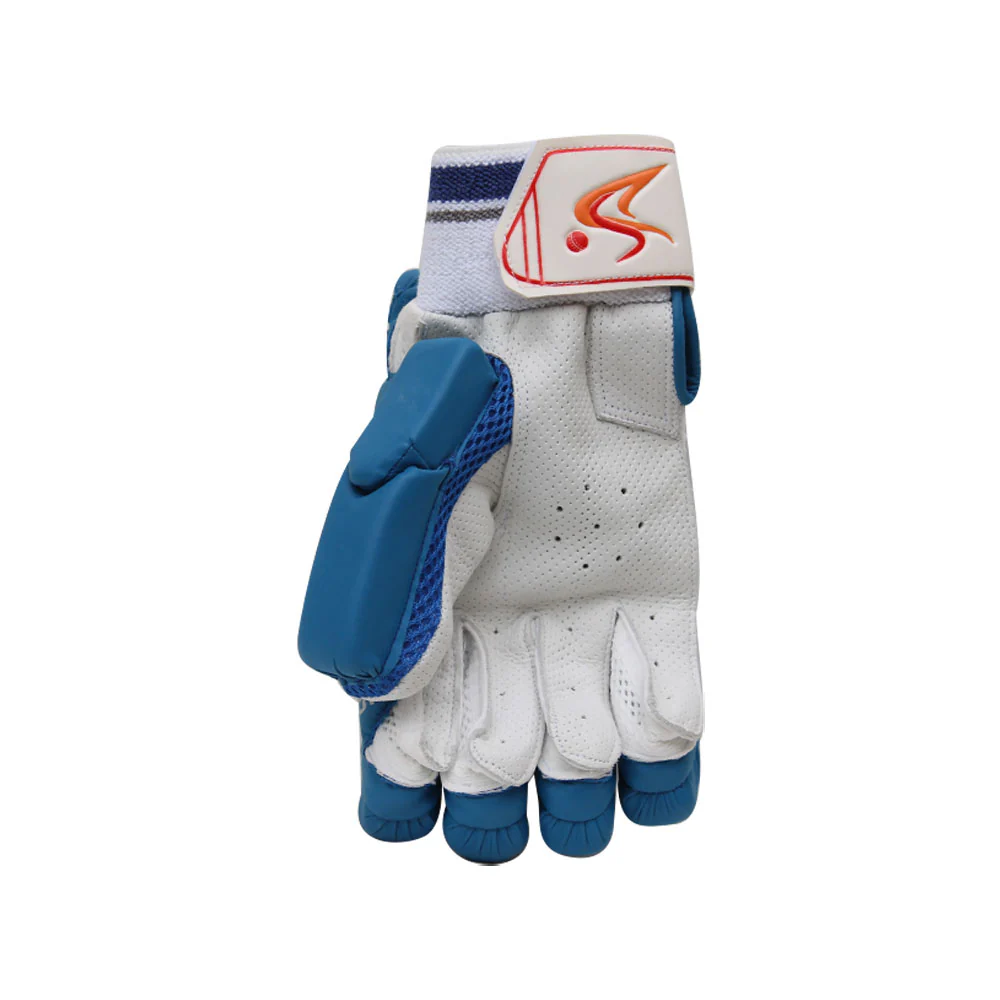 DS Blue Cricket Pads And Gloves Set - Image 9