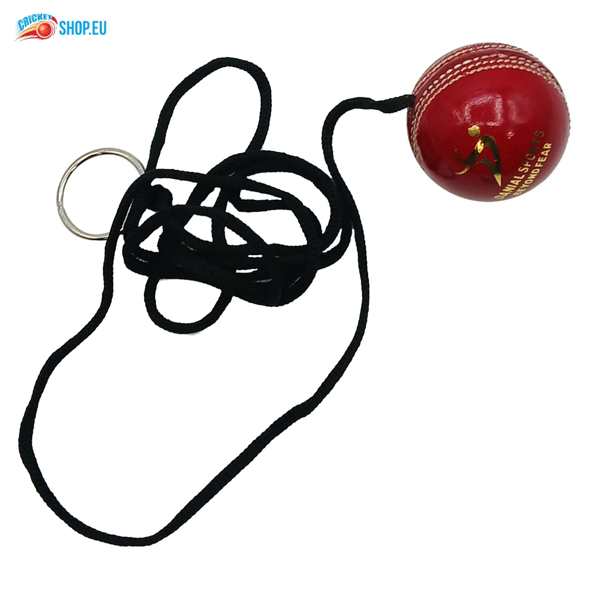 DS Hanging Cricket Ball - Image 3