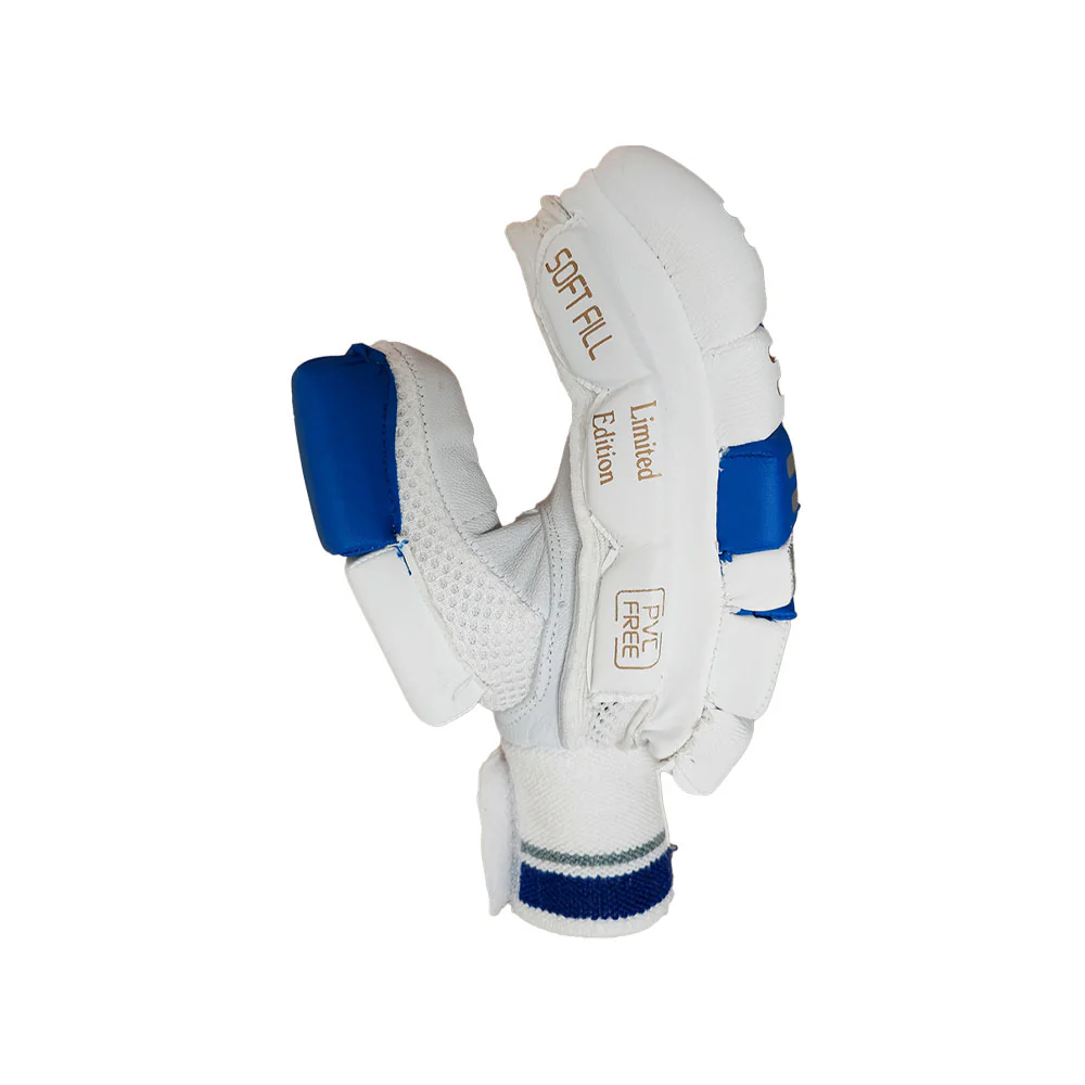 DS Sports D 1.0 Batting Gloves Youth (Silver/Blue) - Image 3