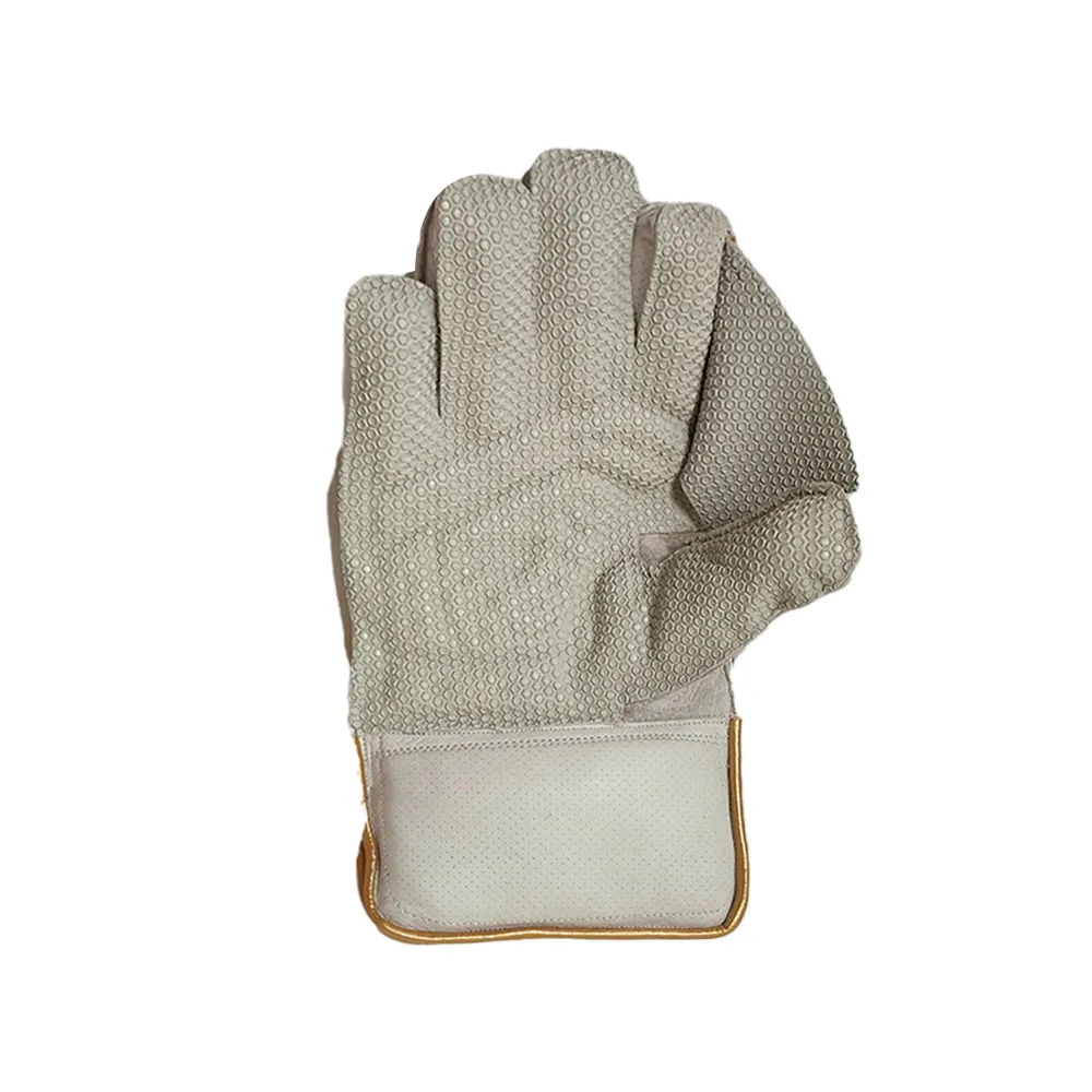 DS Sports Wicket Keeping Gloves - Image 4