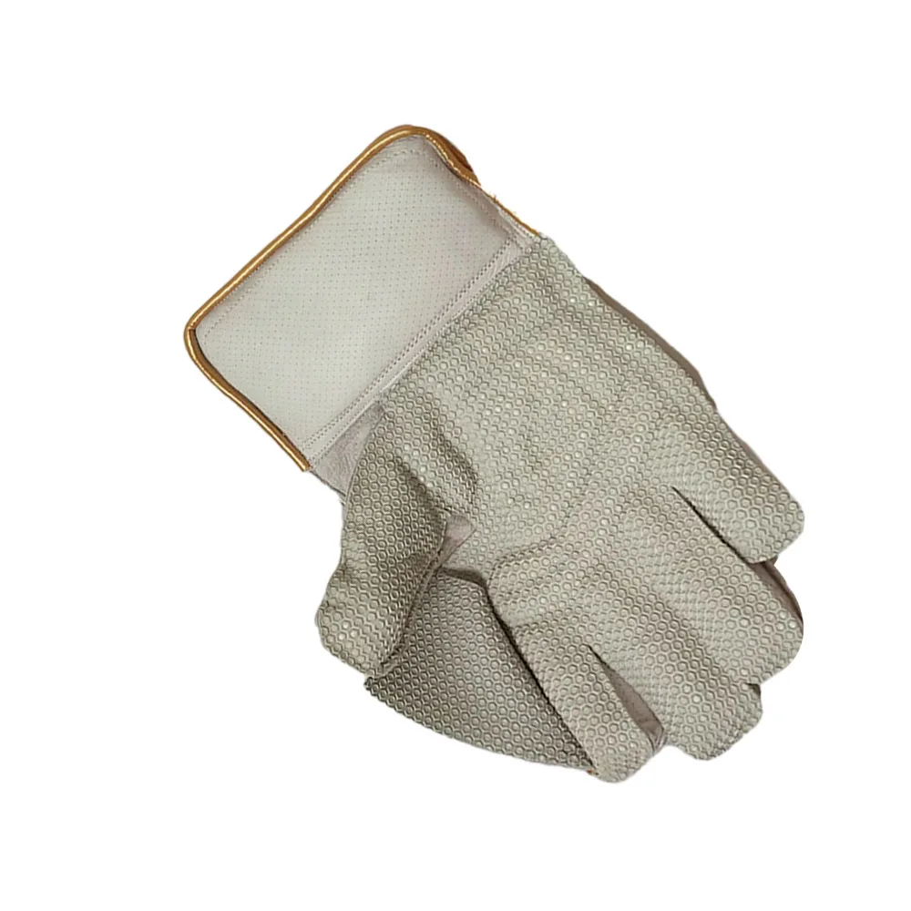DS Sports Wicket Keeping Gloves - Image 5