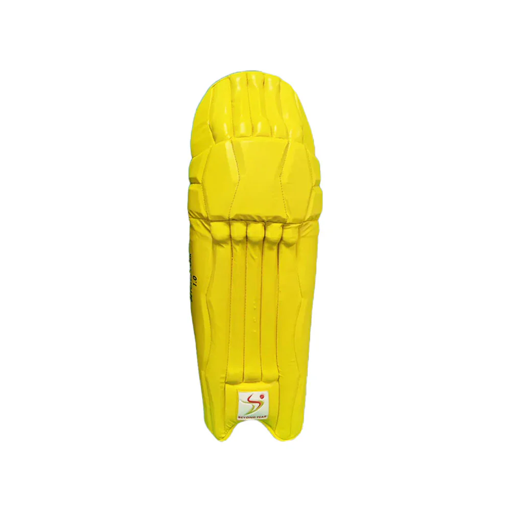 DS Sports Yellow Batting Pads Youth Ambi - Image 3