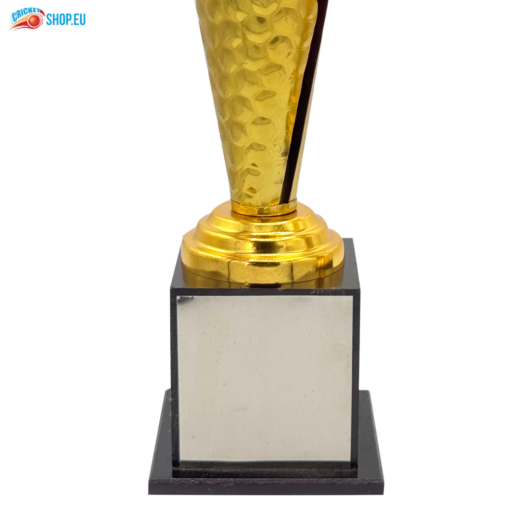 Sporty Cricket Trophy - Image 4