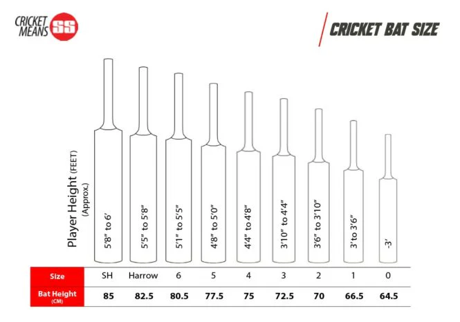 SS Vintage 5.0 English Willow Cricket Bat - Image 5