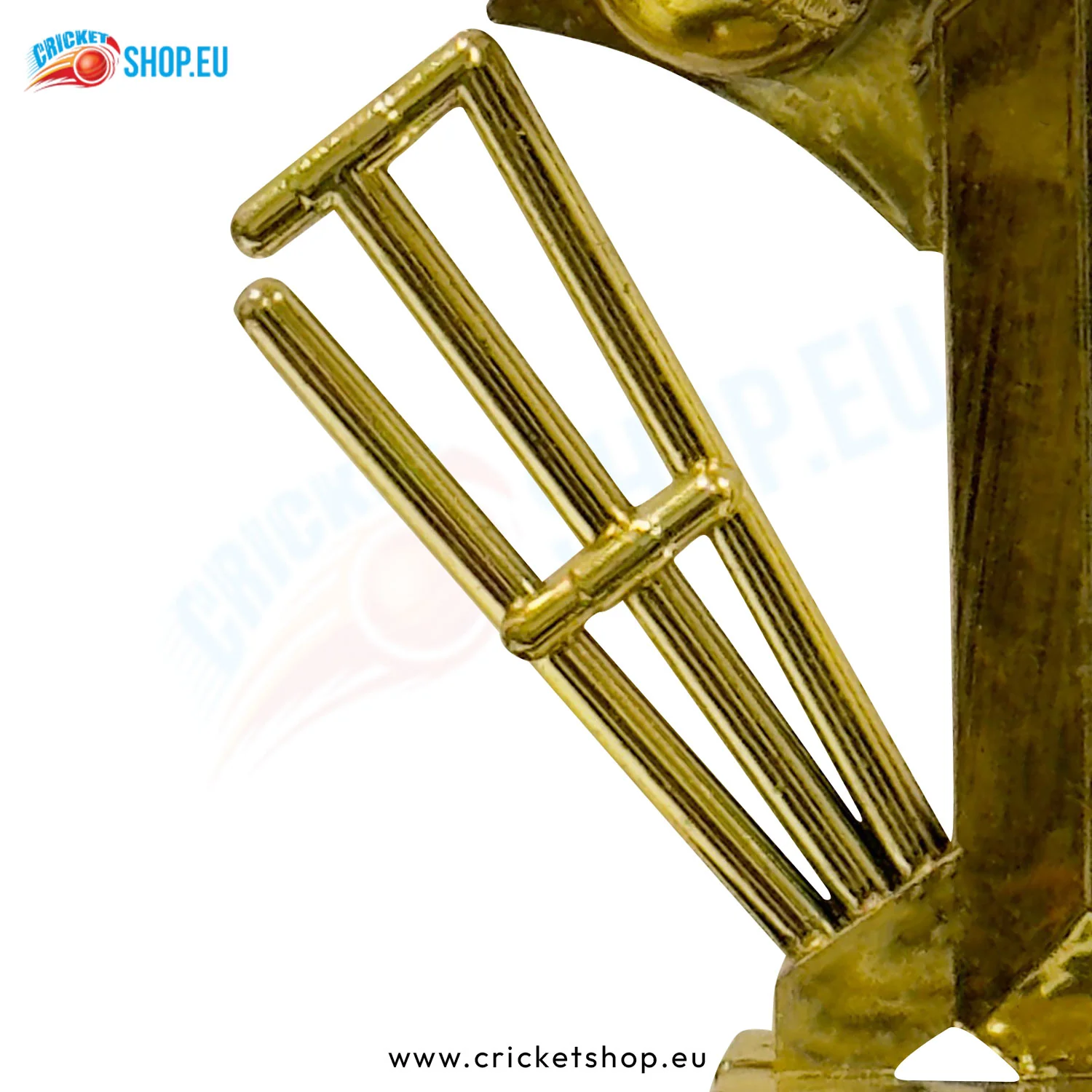 Stunning Cricket Trophy (Plastic) - Image 2
